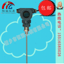  射頻導(dǎo)納液位計(jì)的工作原理如何？